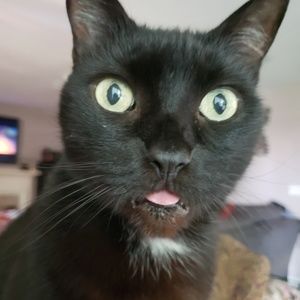 Meet your Posher, Carina